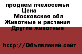 продаем пчелосемьи › Цена ­ 4 000 - Московская обл. Животные и растения » Другие животные   